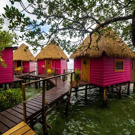 Urraca Monkey Island Eco Resort (Adults Only) Punta Laurel Exteriér fotografie