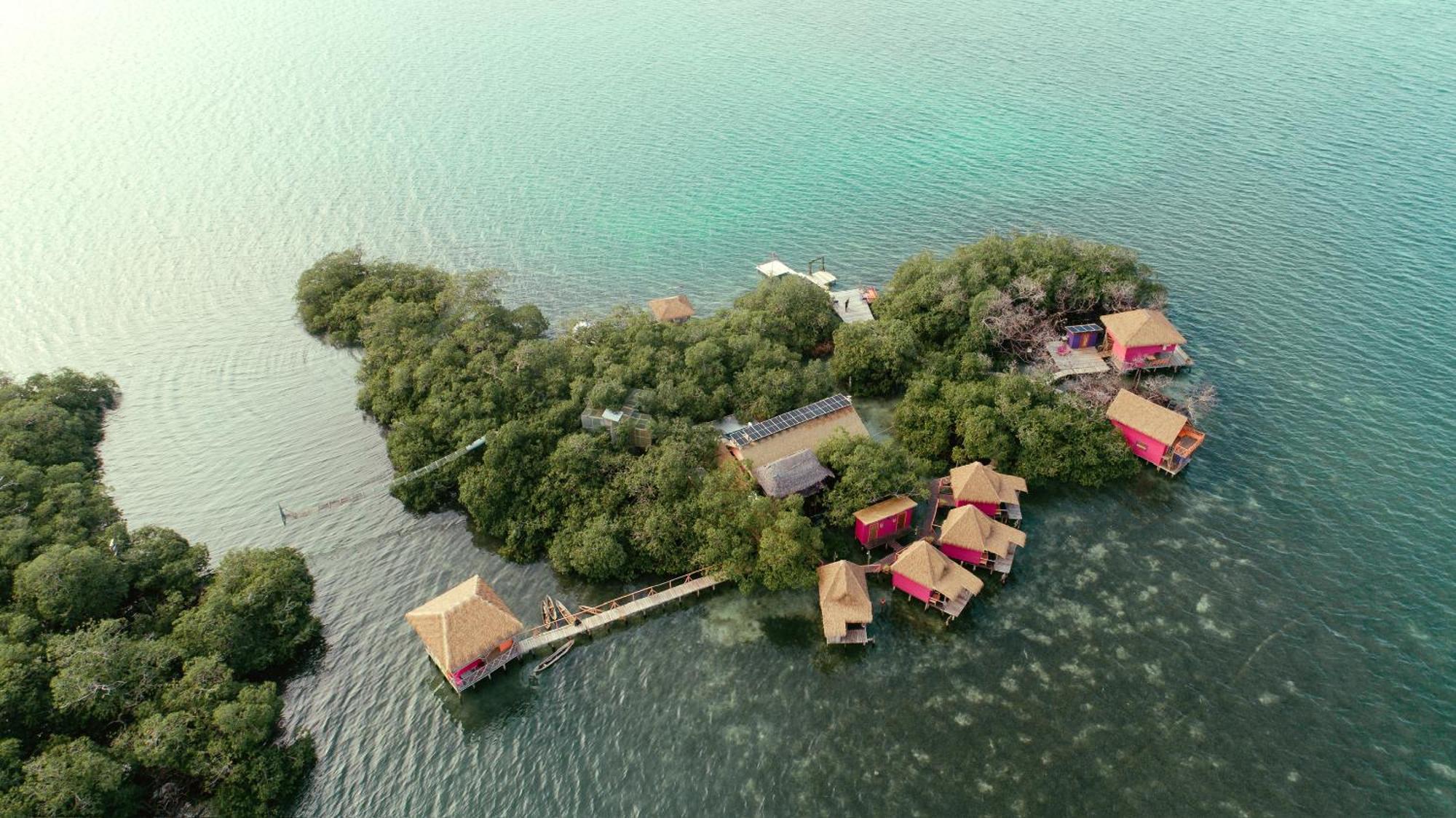 Urraca Monkey Island Eco Resort (Adults Only) Punta Laurel Exteriér fotografie