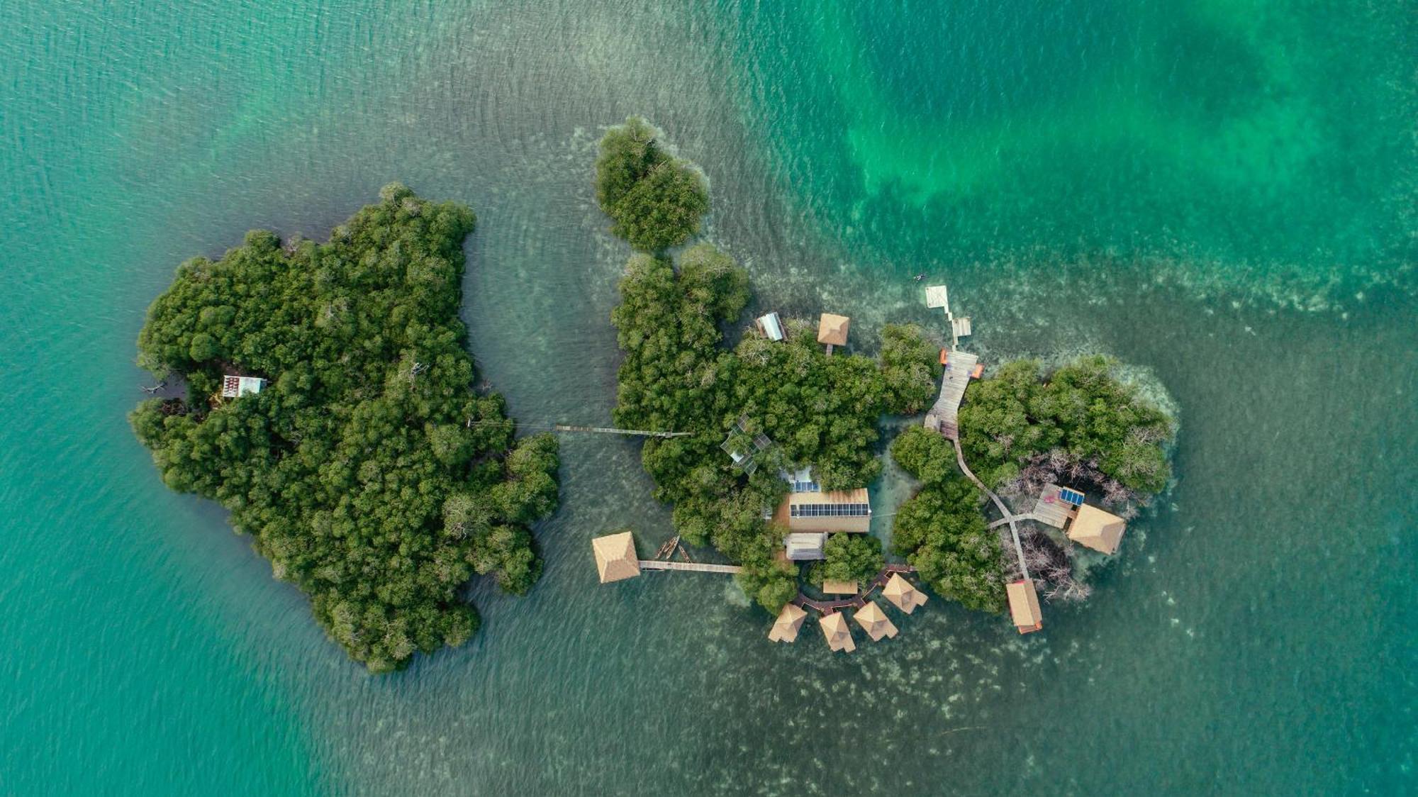 Urraca Monkey Island Eco Resort (Adults Only) Punta Laurel Exteriér fotografie