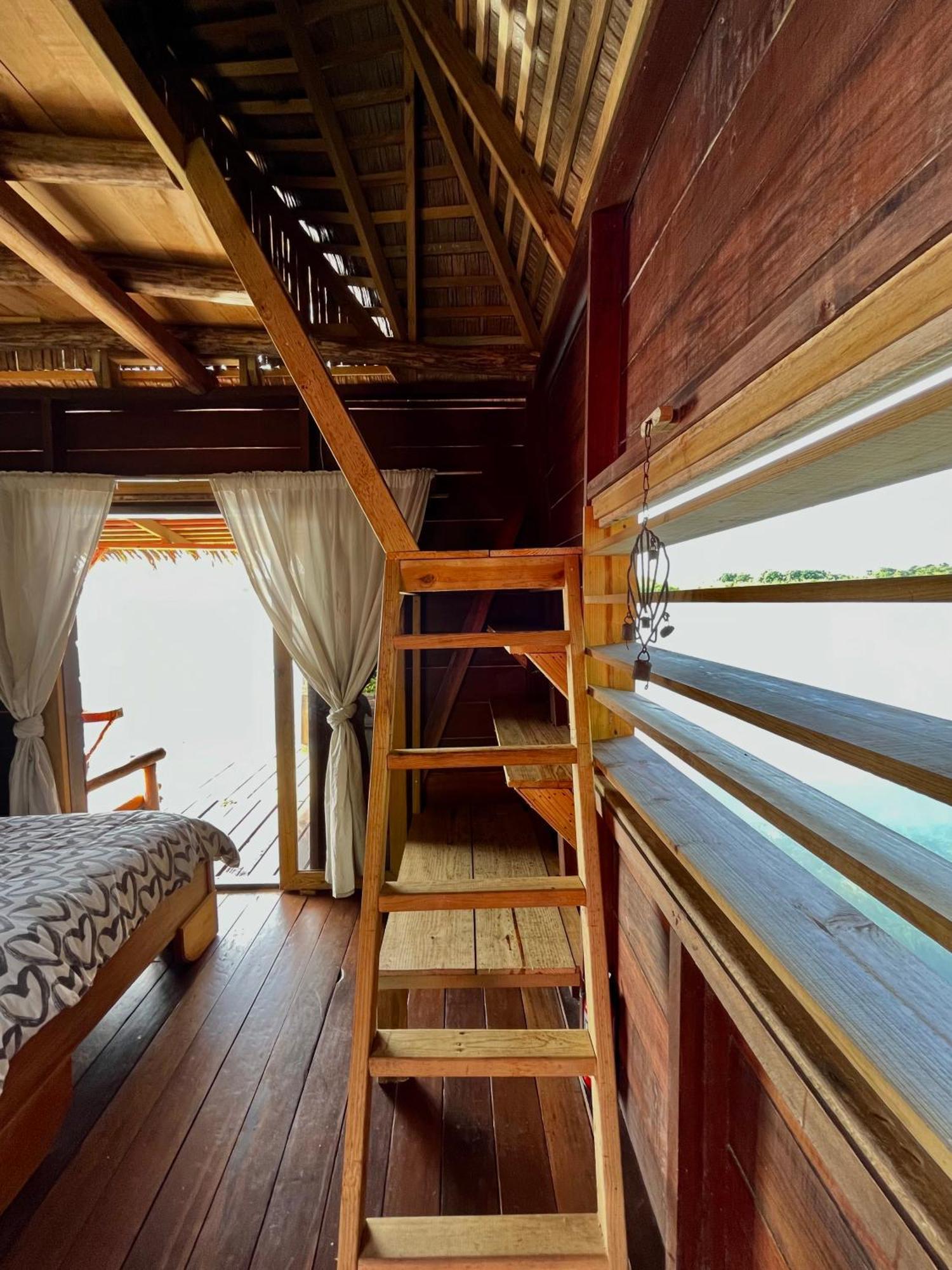 Urraca Monkey Island Eco Resort (Adults Only) Punta Laurel Pokoj fotografie