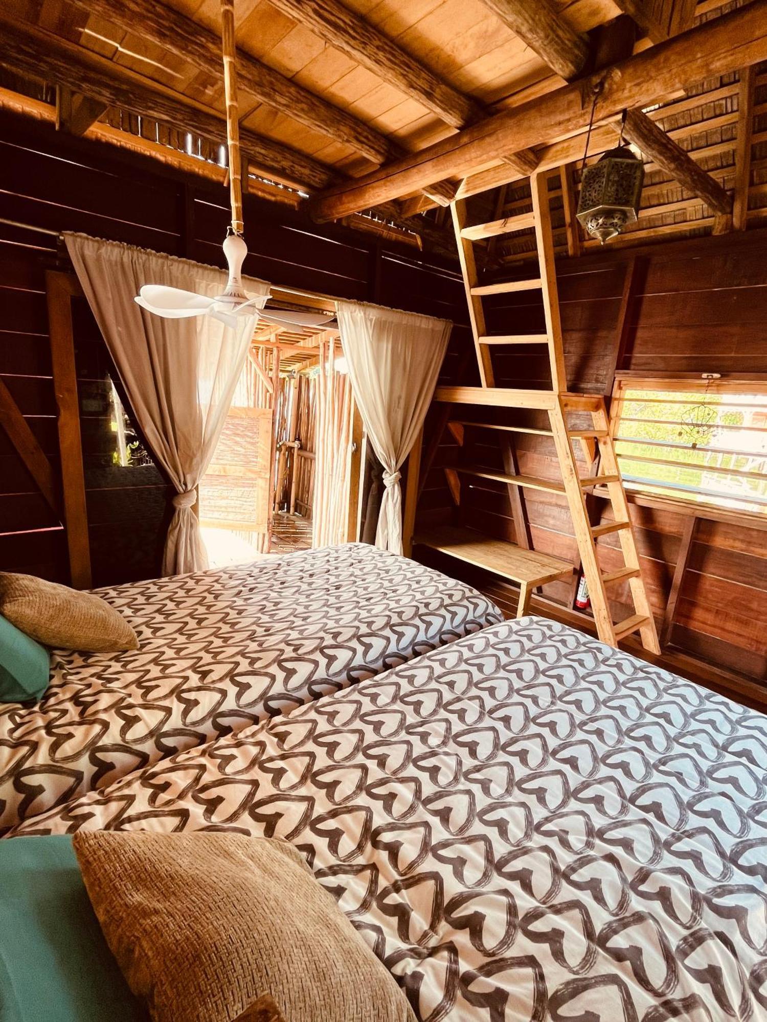 Urraca Monkey Island Eco Resort (Adults Only) Punta Laurel Pokoj fotografie
