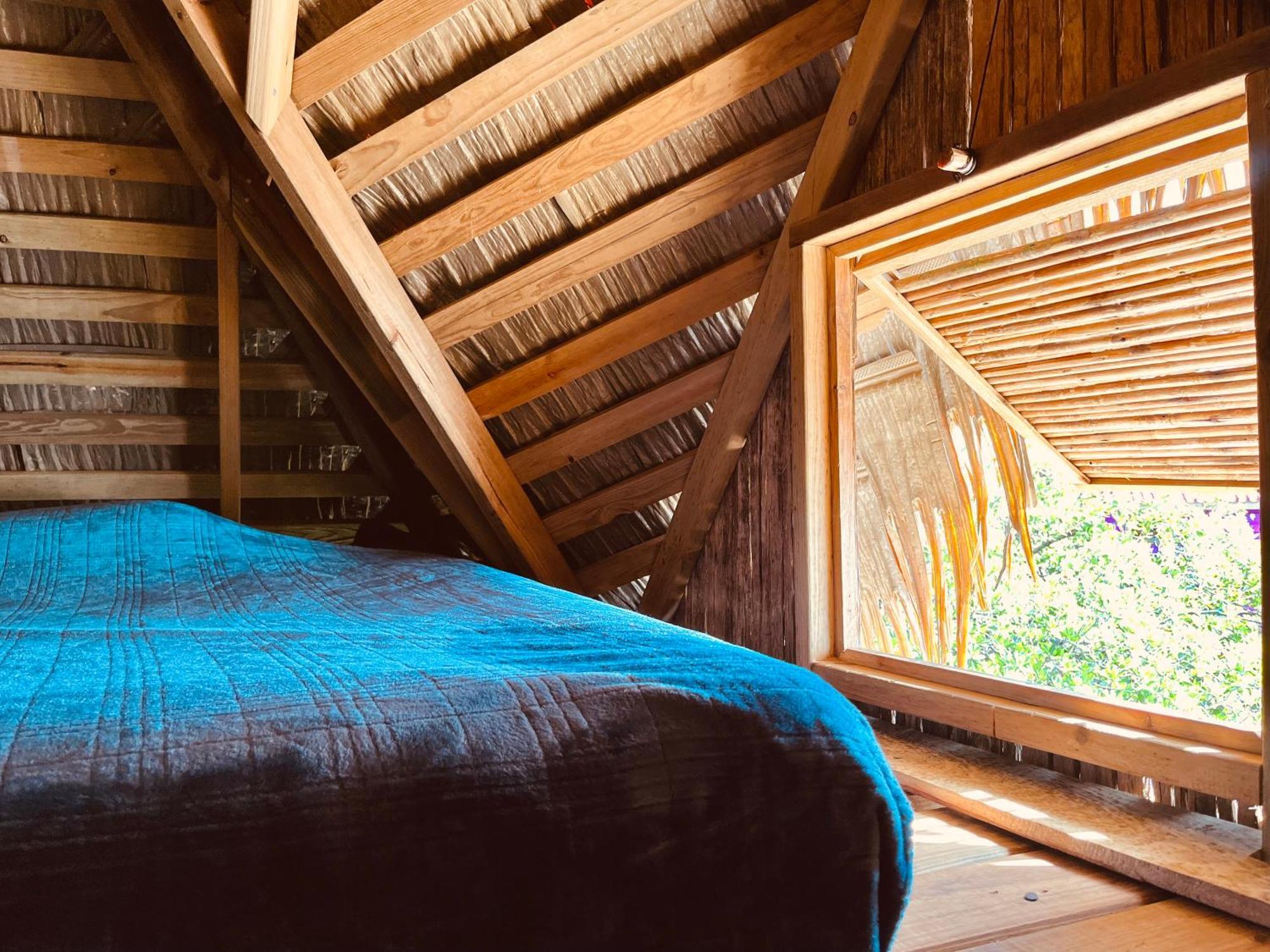 Urraca Monkey Island Eco Resort (Adults Only) Punta Laurel Pokoj fotografie