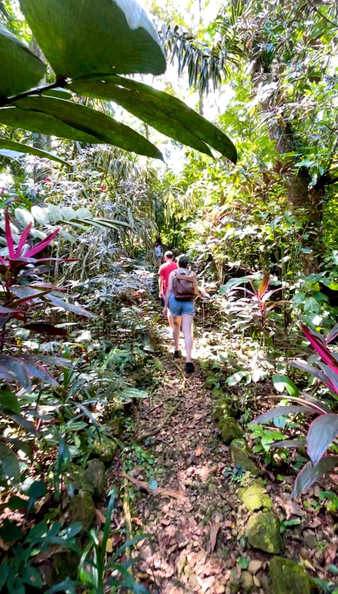 Urraca Monkey Island Eco Resort (Adults Only) Punta Laurel Exteriér fotografie